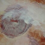 And did time just fly past? 1, 2011, 225 x 180 cm, egg tempera on canvas 